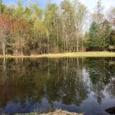 Review photo of Lynchburg / Blue Ridge Parkway KOA by Susan P., June 1, 2018