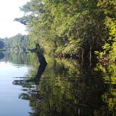 Review photo of Potts Preserve - River Primitive Campground (North Hooty Point Road) by CHARLES V., May 3, 2021