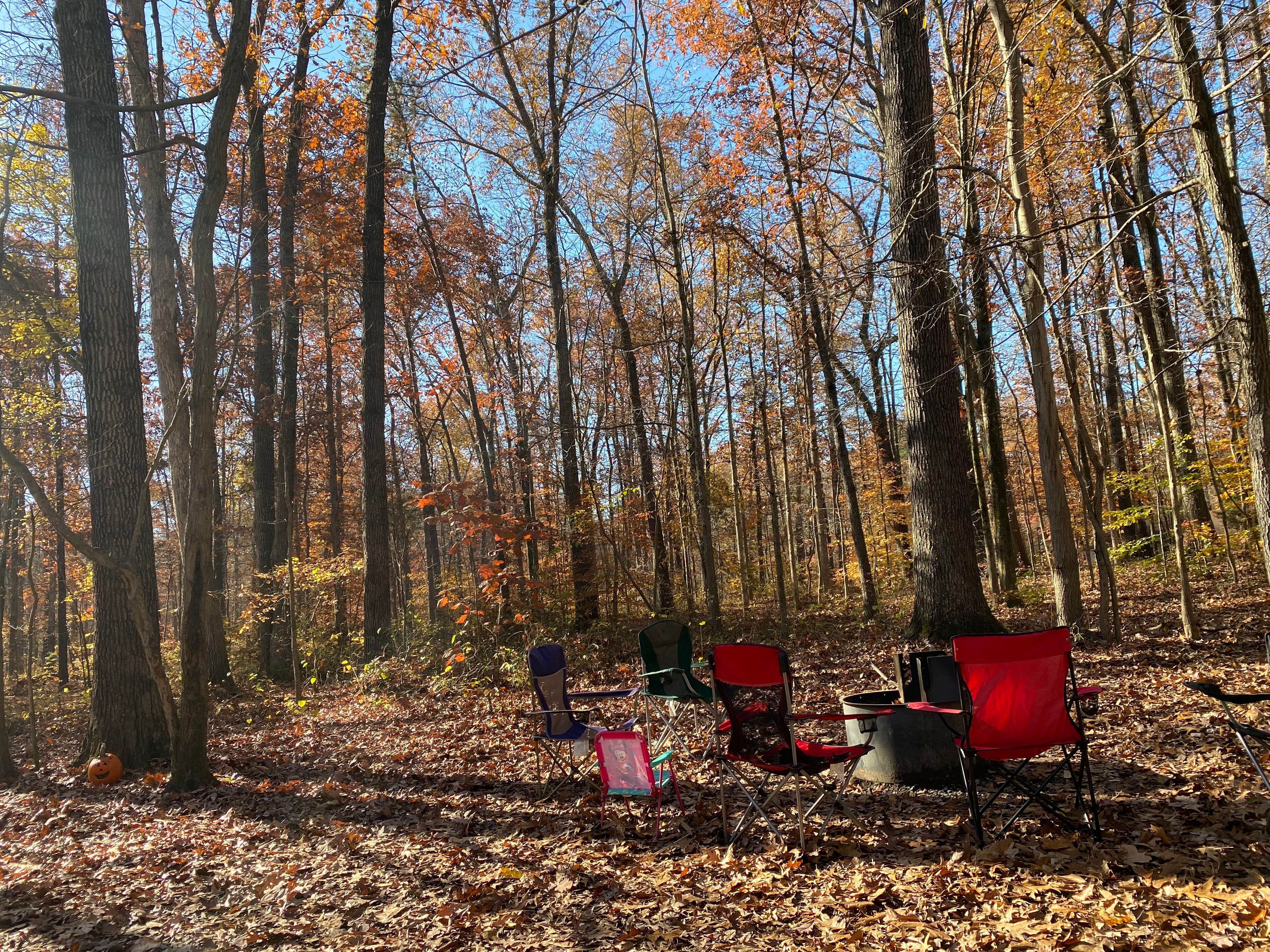 Michelle W.'s photo at Bull Run Regional Park near Ashburn, VA