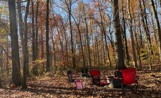 Michelle W.'s photo at Bull Run Regional Park near Oakton, VA