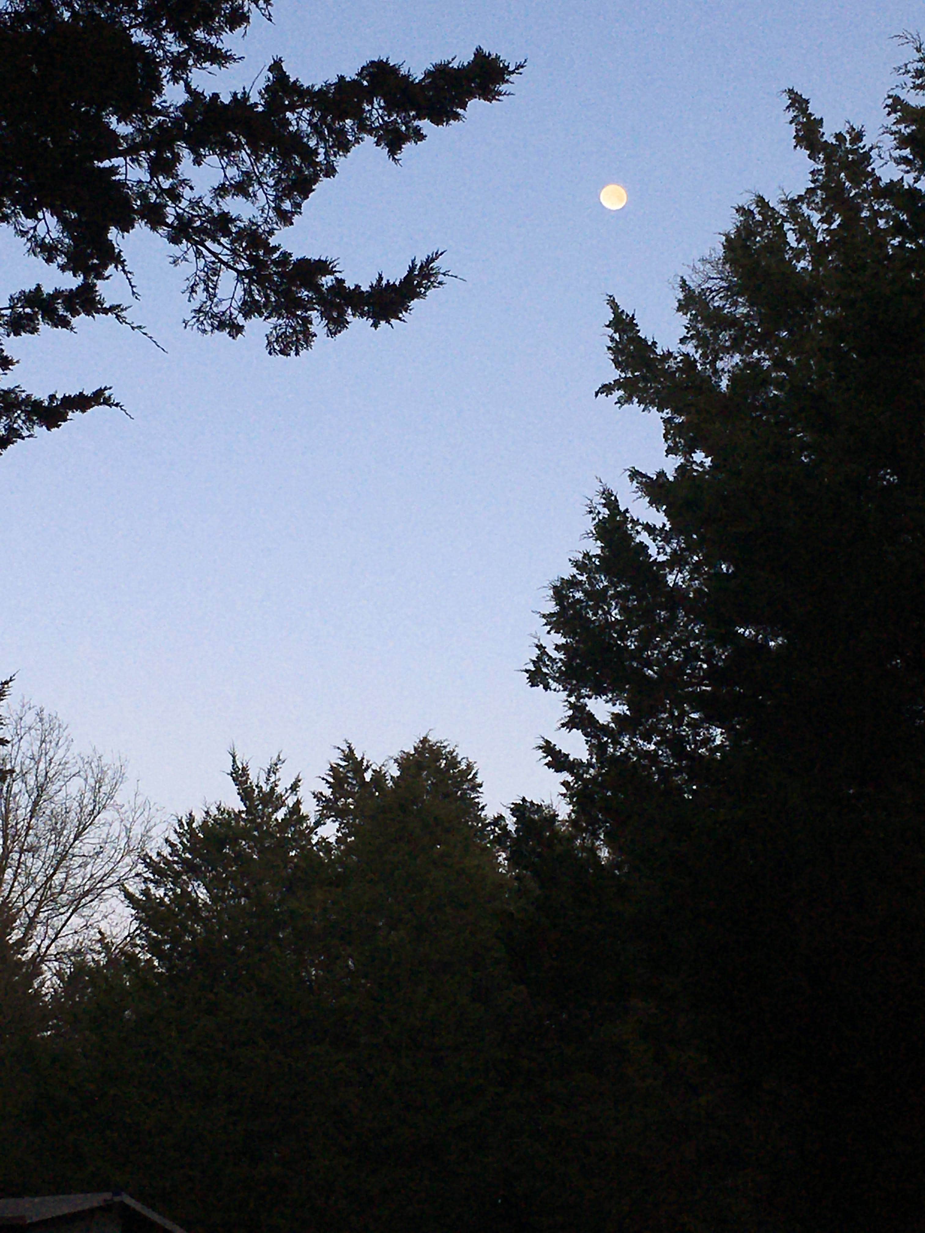 Camper-submitted photo at Dry Fork Recreation Area near Kingdom City, MO