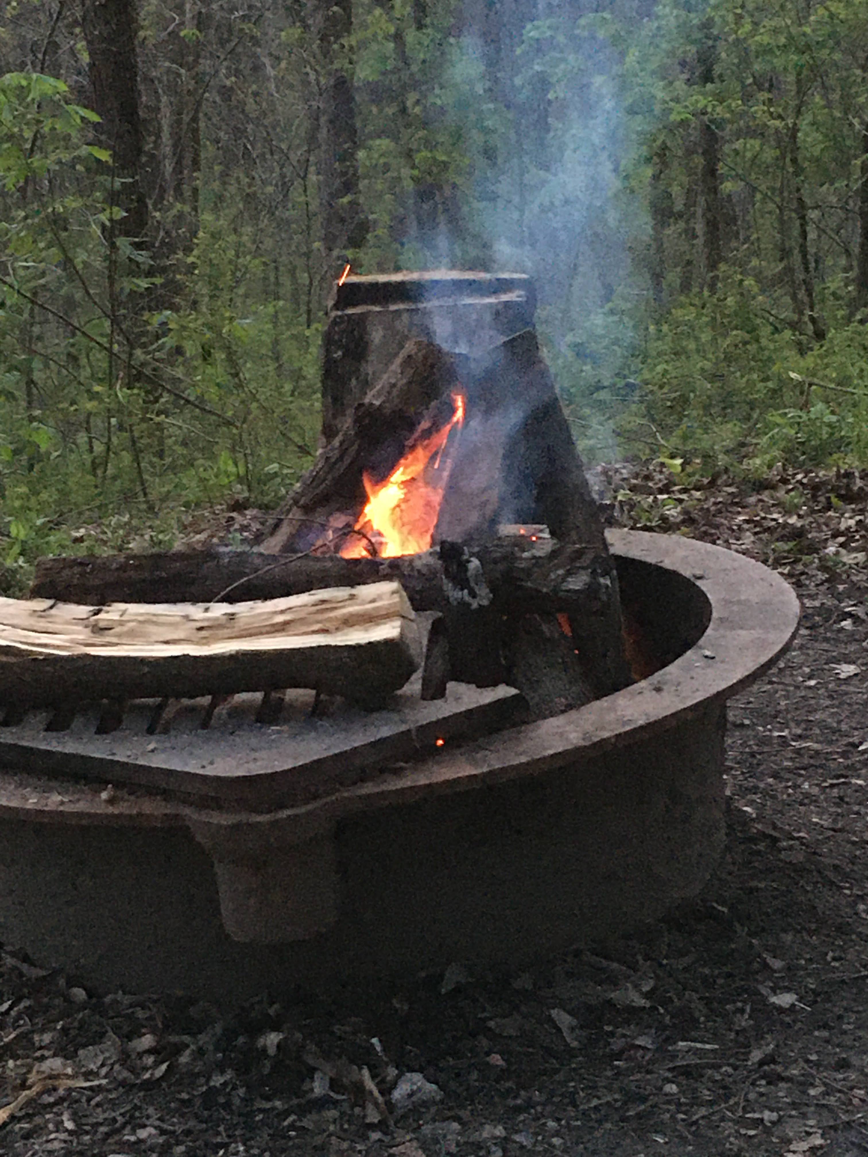 Camper submitted image from Dry Fork Recreation Area - 3