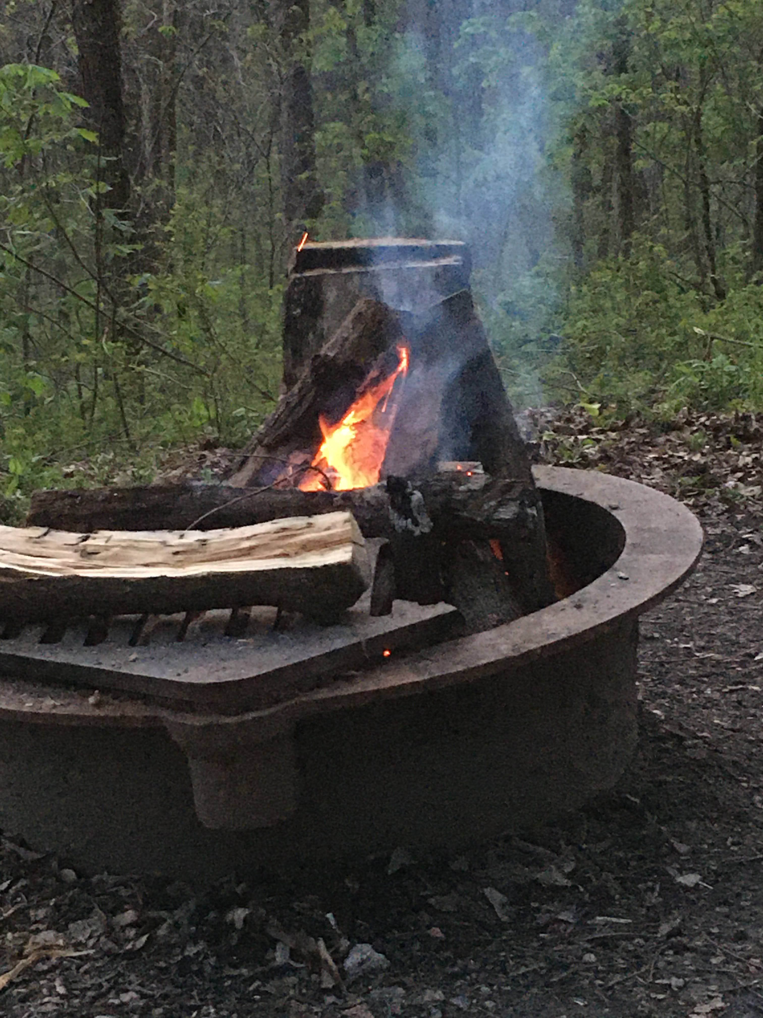 Camper submitted image from Dry Fork Recreation Area - 4