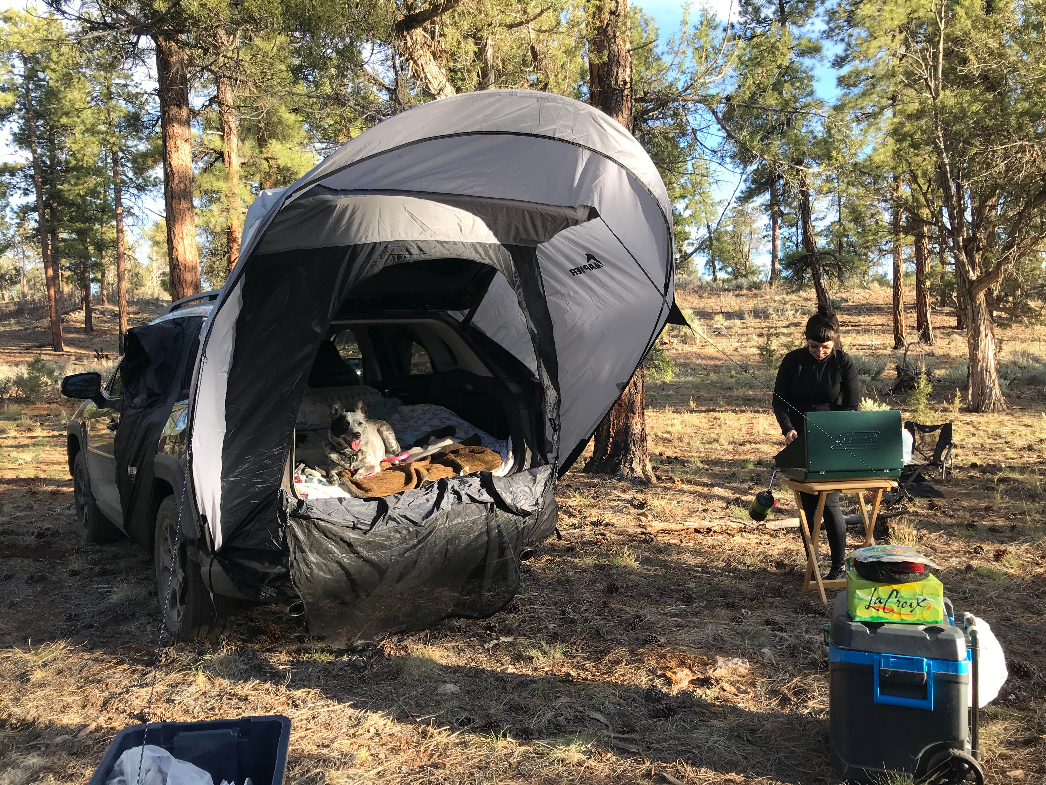 Matt's photo of tent camping at Forest Service Road 328 Dispersed near North Rim, AZ
