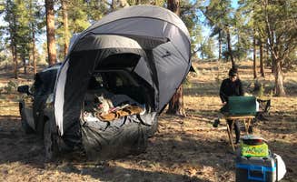 Matt's photo at Forest Service Road 328 Dispersed near Grand Canyon, AZ