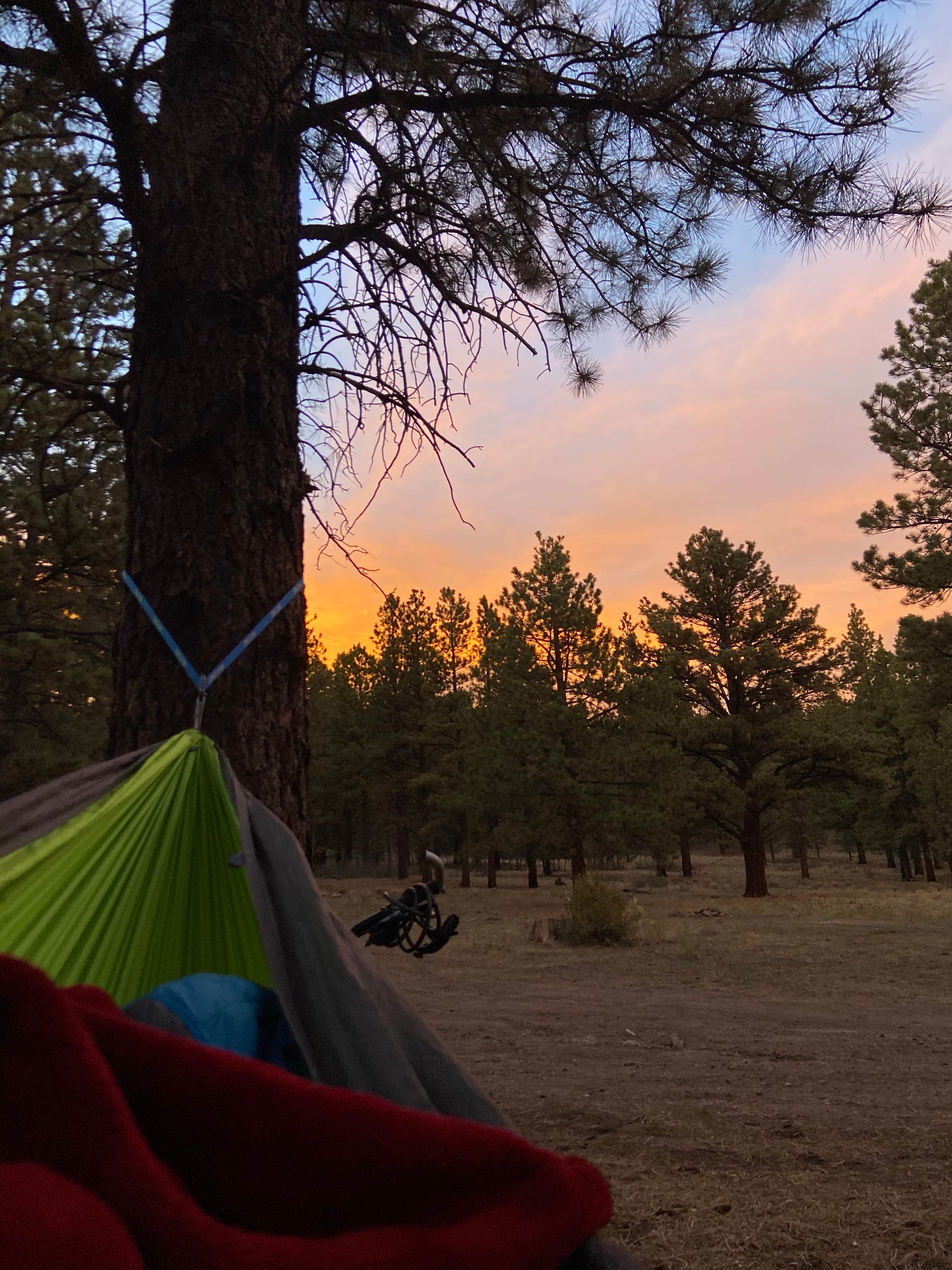 maura's photo at Lower Bowns near Capitol Reef National Park