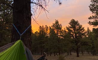 maura's photo at Lower Bowns near Capitol Reef National Park