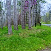 Review photo of Yellowwood State Forest by Stephen & Theresa B., May 3, 2021