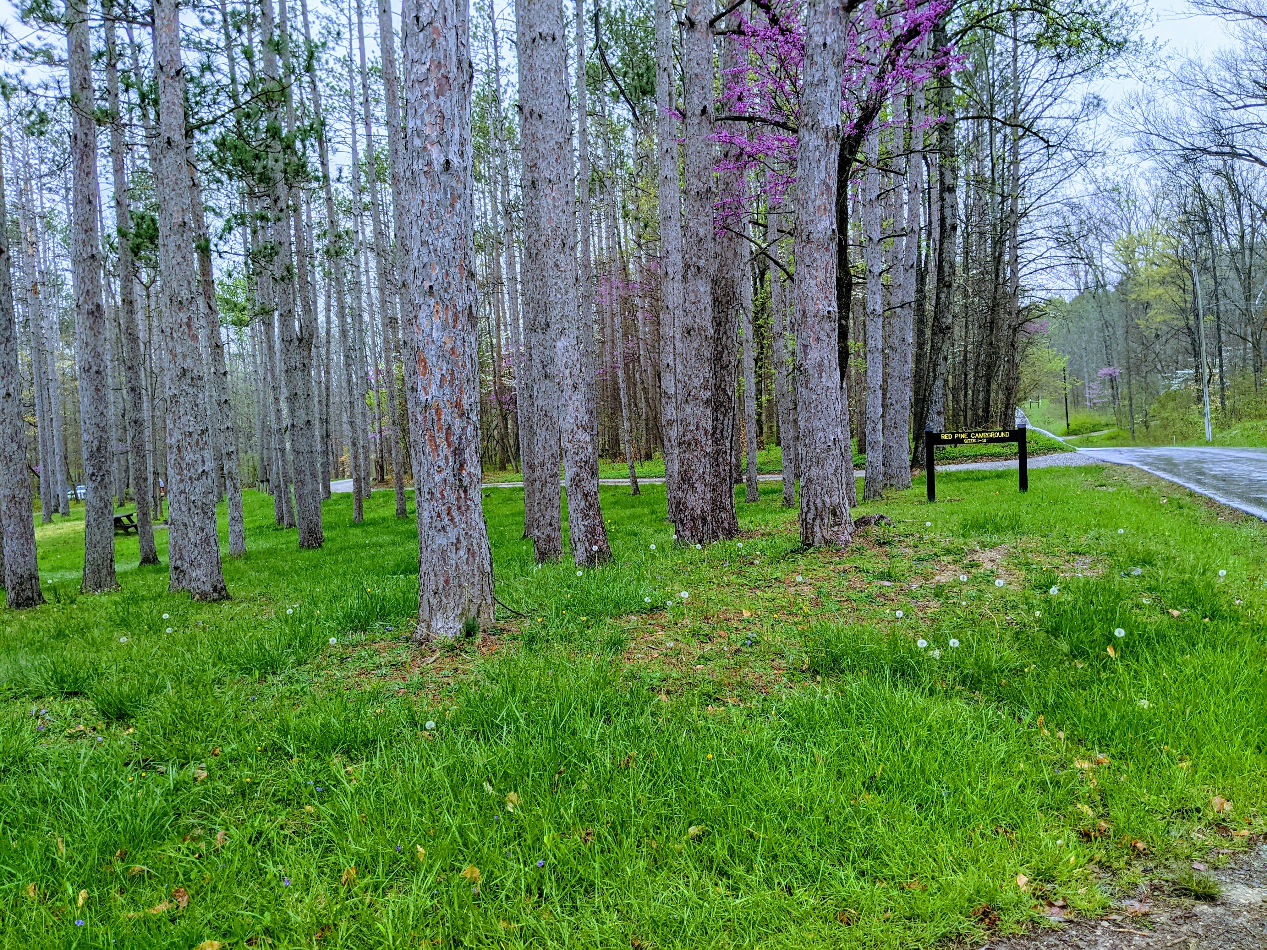 Escape to Nature's Embrace: Unveiling the Hidden Gem of Indiana's Yellowwood State Forest