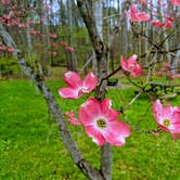 Review photo of Yellowwood State Forest by Stephen & Theresa B., May 3, 2021