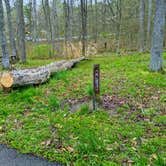 Review photo of Yellowwood State Forest by Stephen & Theresa B., May 3, 2021