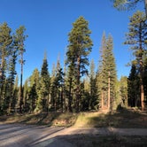 Review photo of DeMotte National Forest Campground by Elizabeth R., June 1, 2018