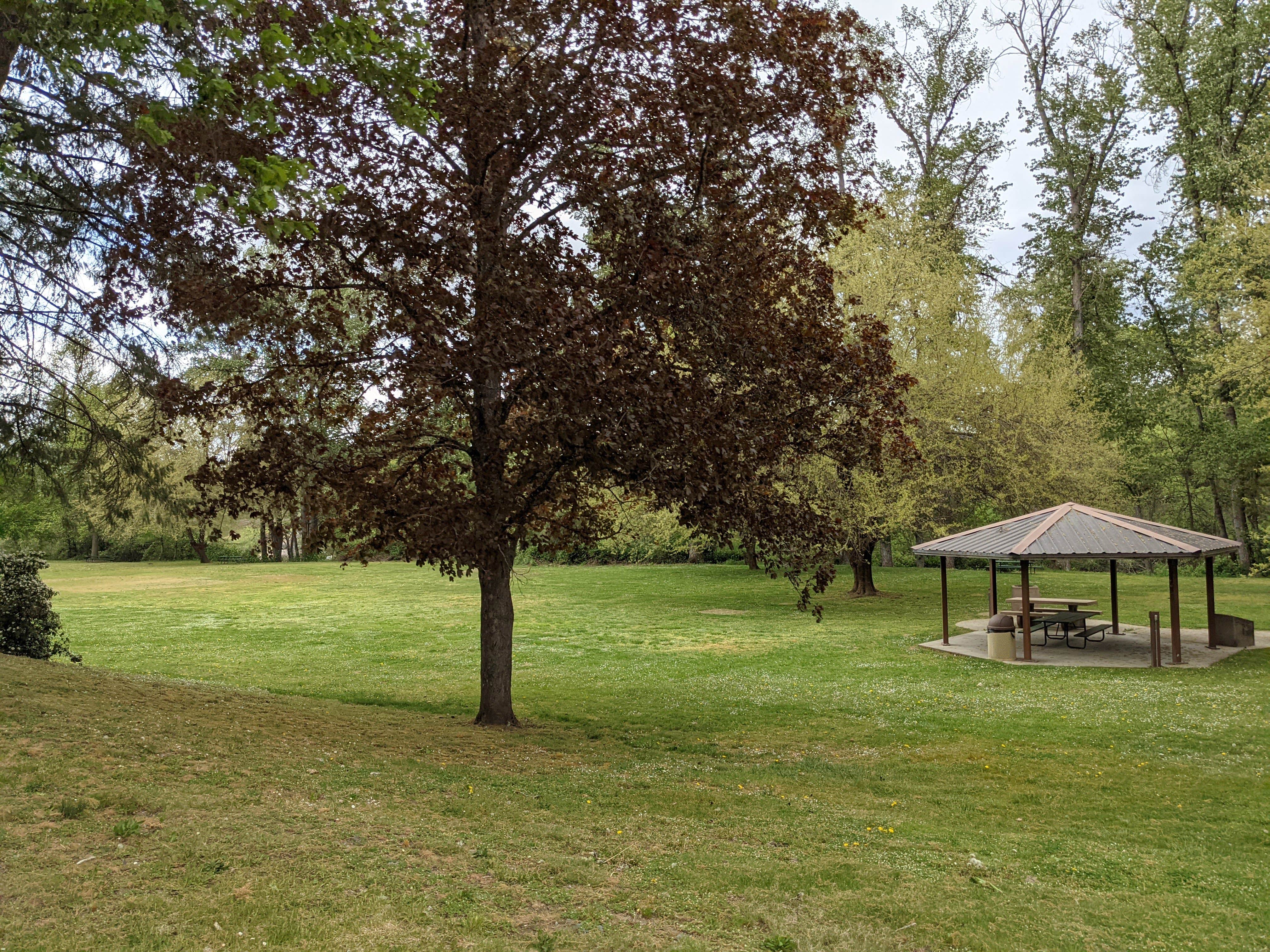 Camper submitted image from Schroeder Park - 5