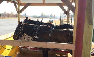 Mike H.'s photo of camping with a horse at Heritage Campground and RV Park near Lewisburg, TN