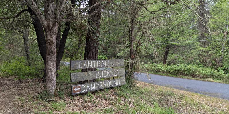 Camper submitted image from Cantrell Buckley Park
