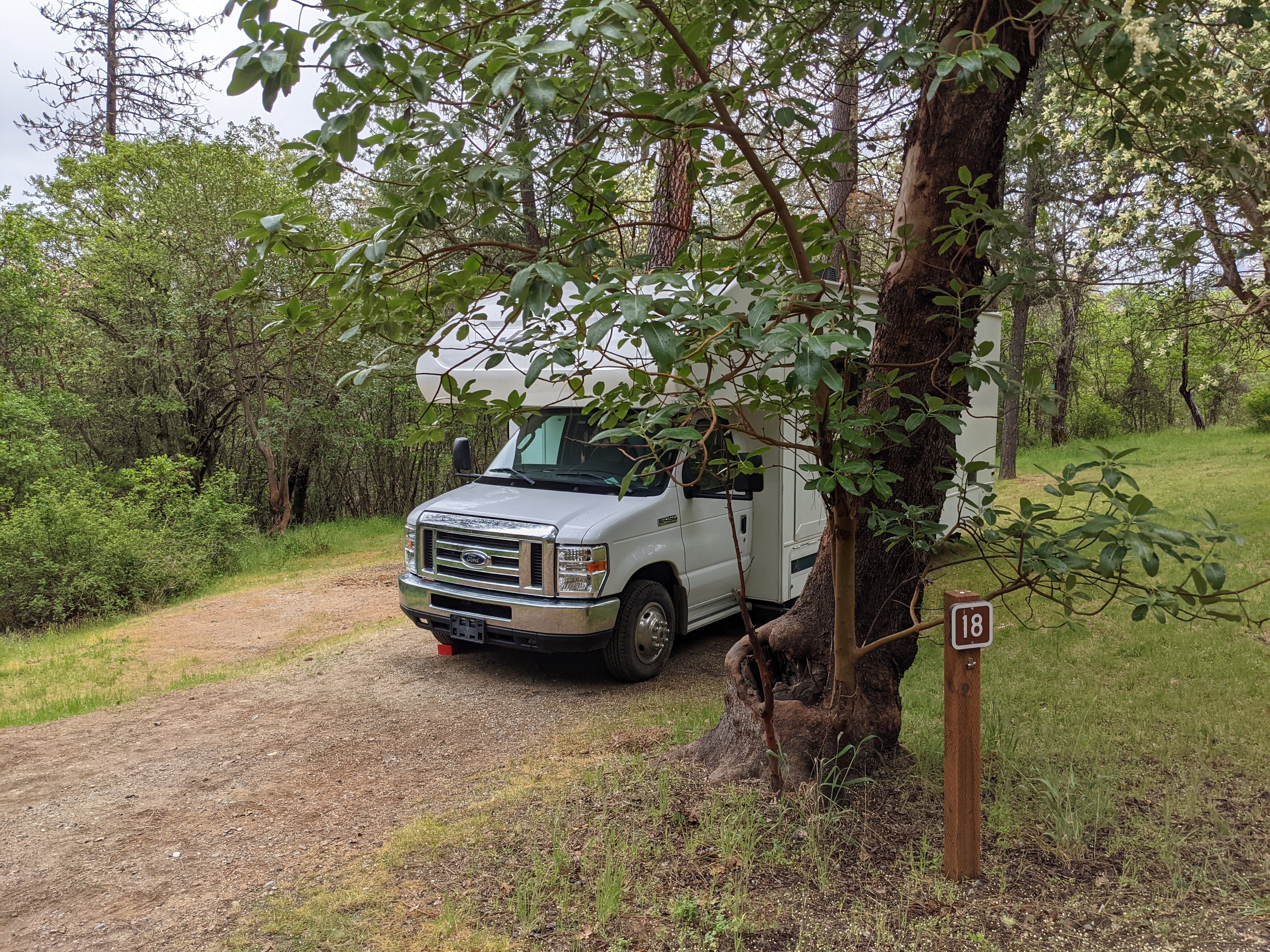 Camper submitted image from Cantrell Buckley Park - 5