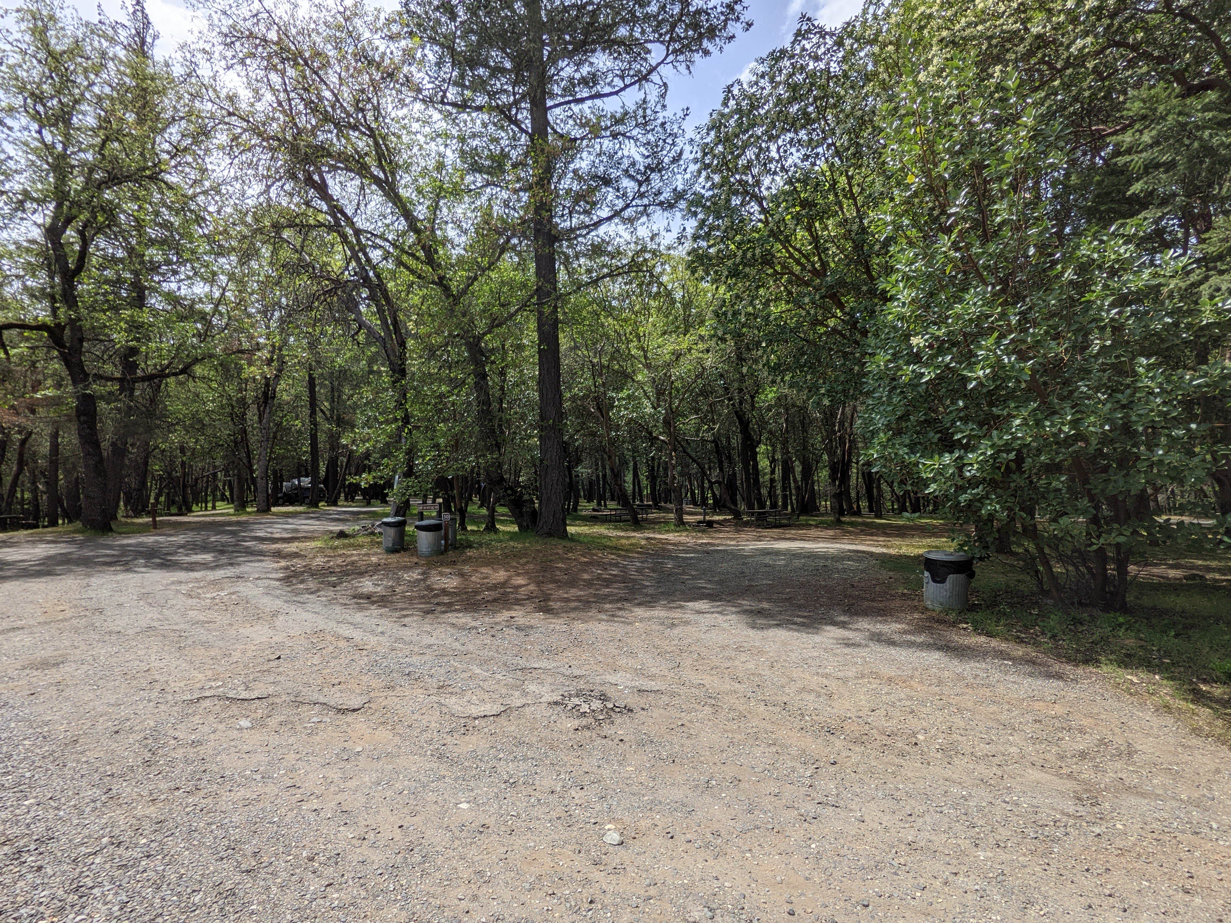 Camper submitted image from Cantrell Buckley Park - 5