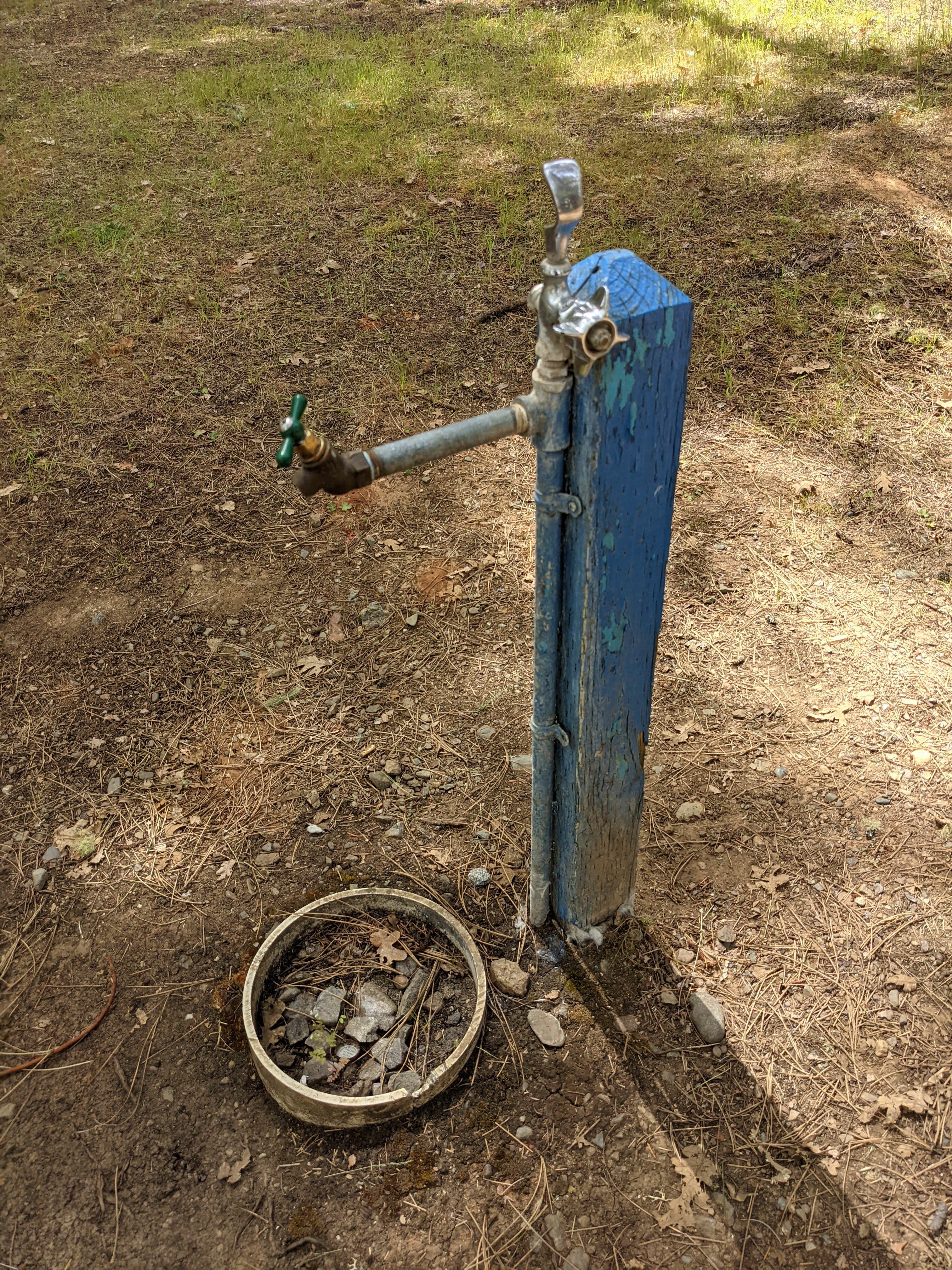 Camper submitted image from Cantrell Buckley Park - 3