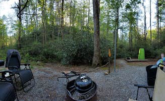 Randall's photo at Blue Valley Camp near Cashiers, NC