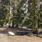 Review photo of Mount Ashland Campground by Laura M., May 3, 2021