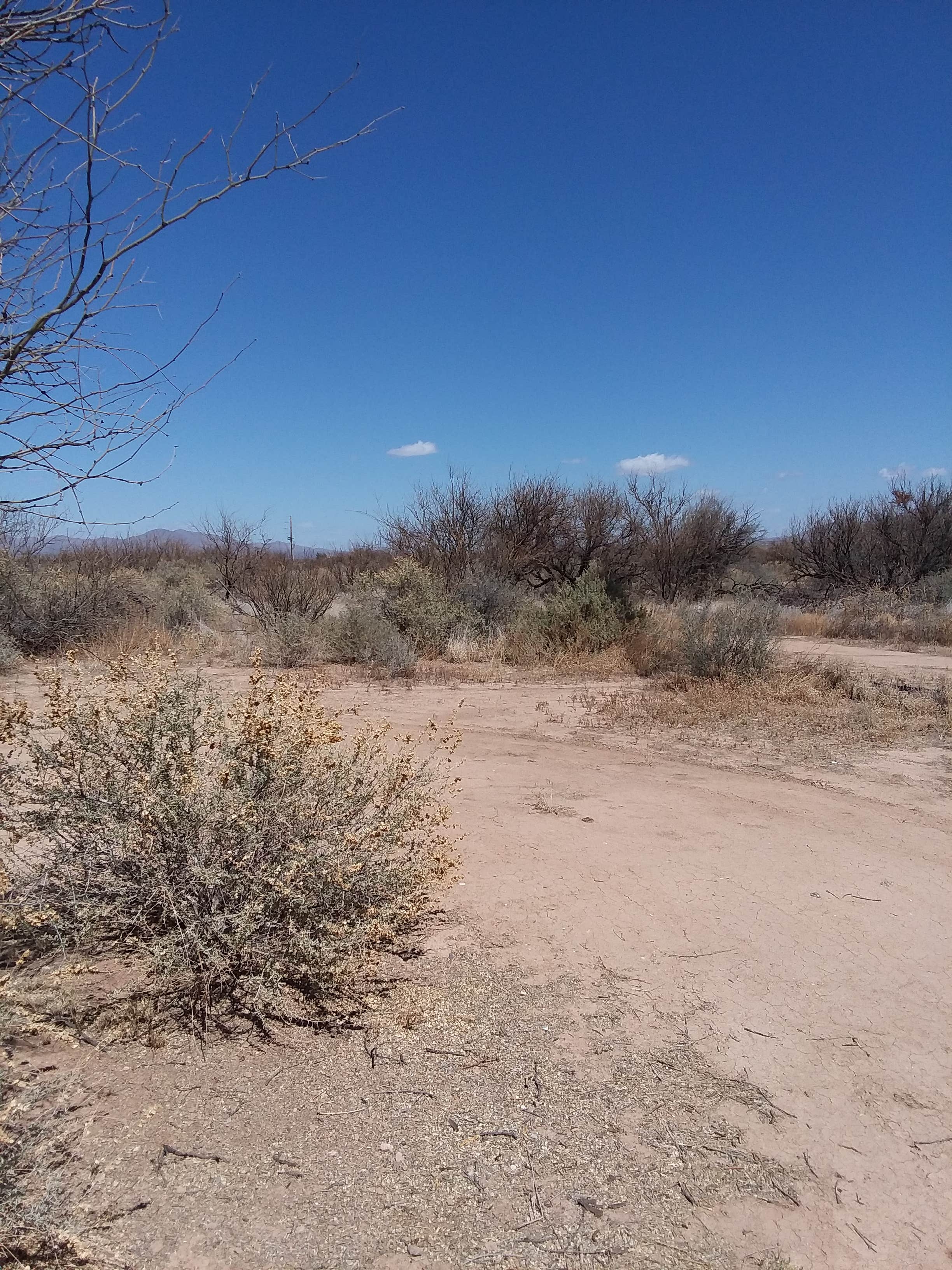 Camper-submitted photo at Red Barn Campground near Benson, AZ
