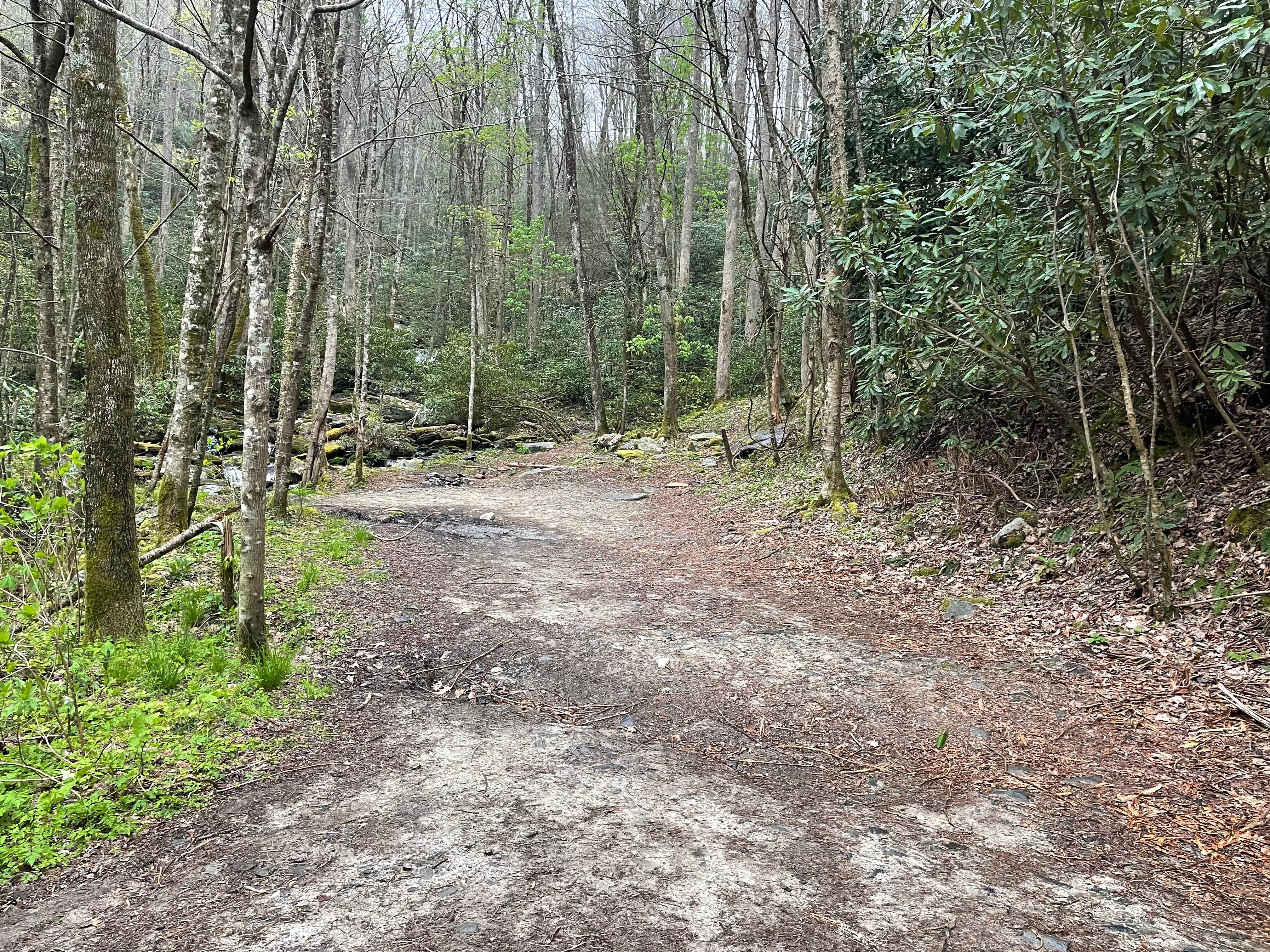 Mount Pisgah Campground The Dyrt