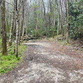 Review photo of Mount Pisgah Campground by Timothy , May 3, 2021