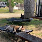 Review photo of Yosemite RV Resort by Chris H., May 4, 2021