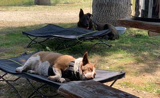 Chris H.'s photo of camping with pets at Yosemite RV Resort near Bass Lake, CA