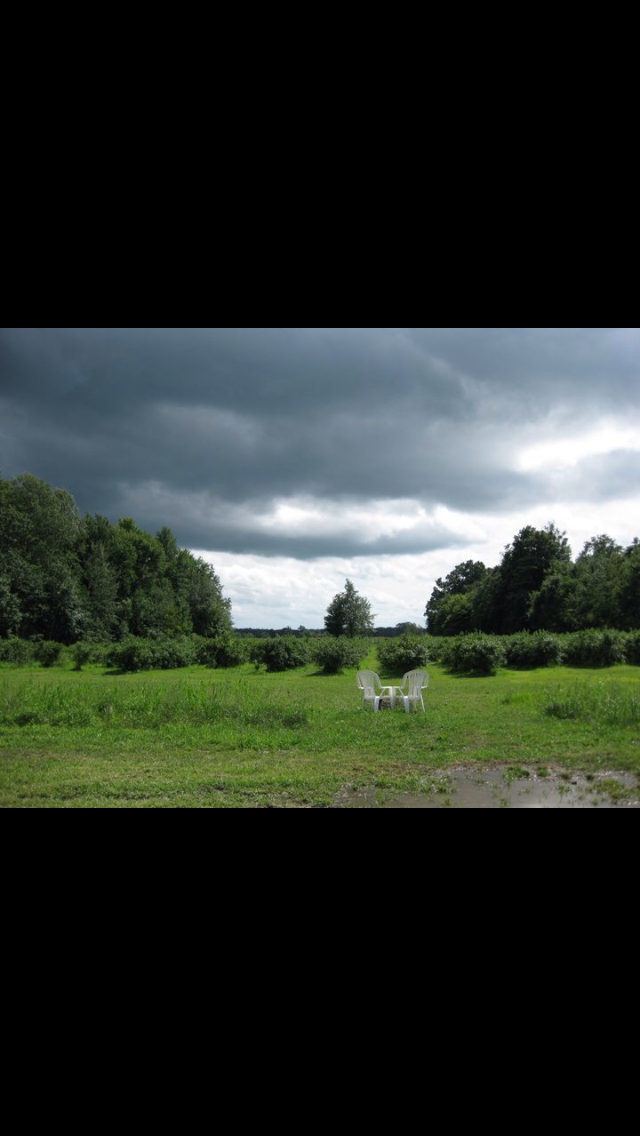 Camper submitted image from Moss Funnel Farms - 2