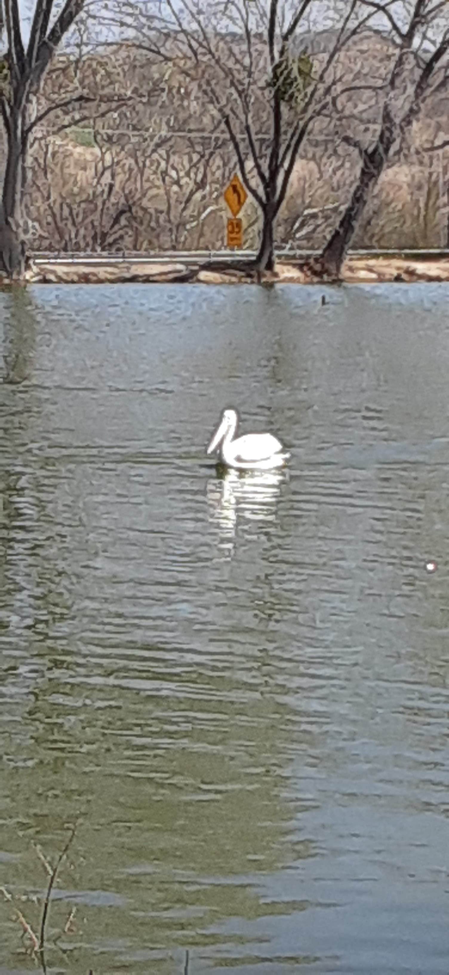 Camper-submitted photo at Fisherman's Retreat near Running Springs, CA