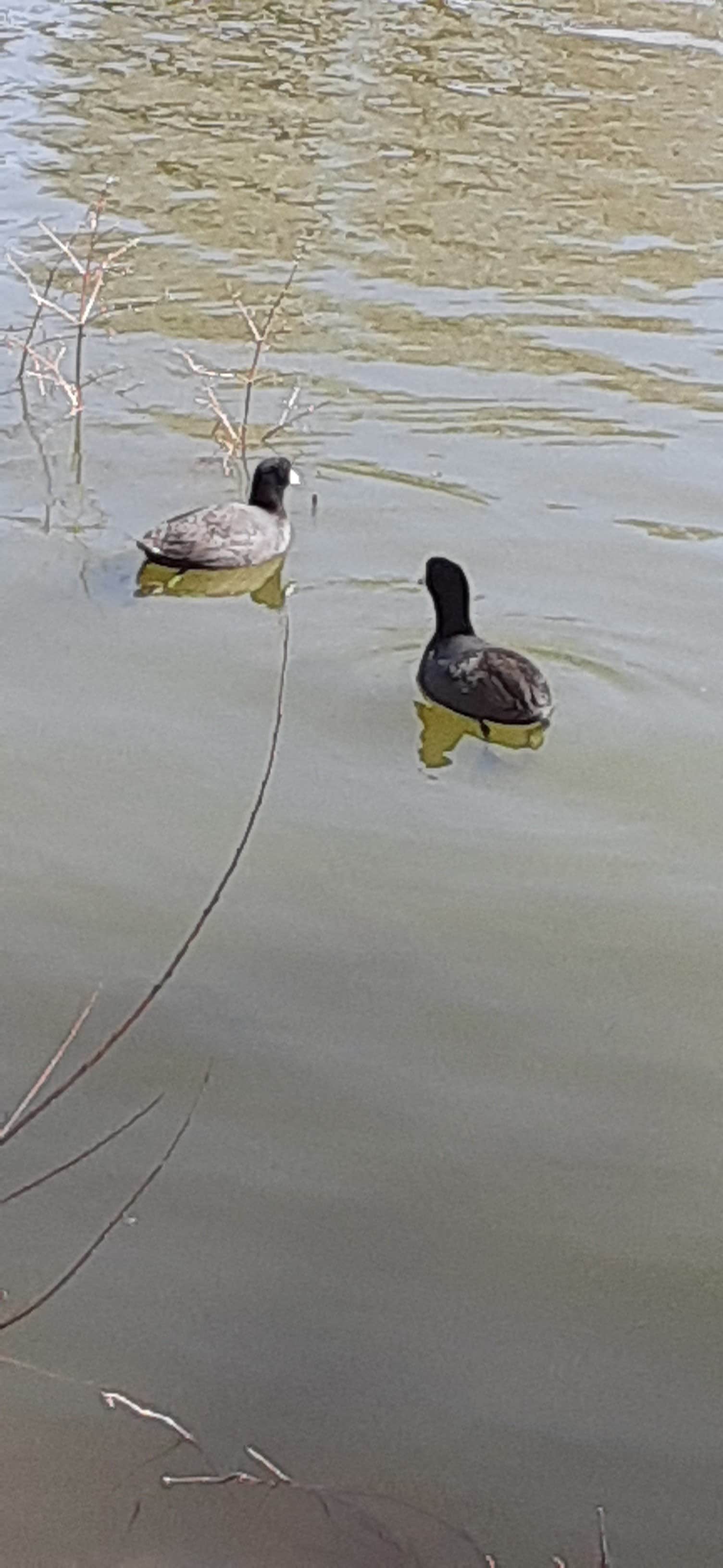 Camper-submitted photo at Fisherman's Retreat near Running Springs, CA