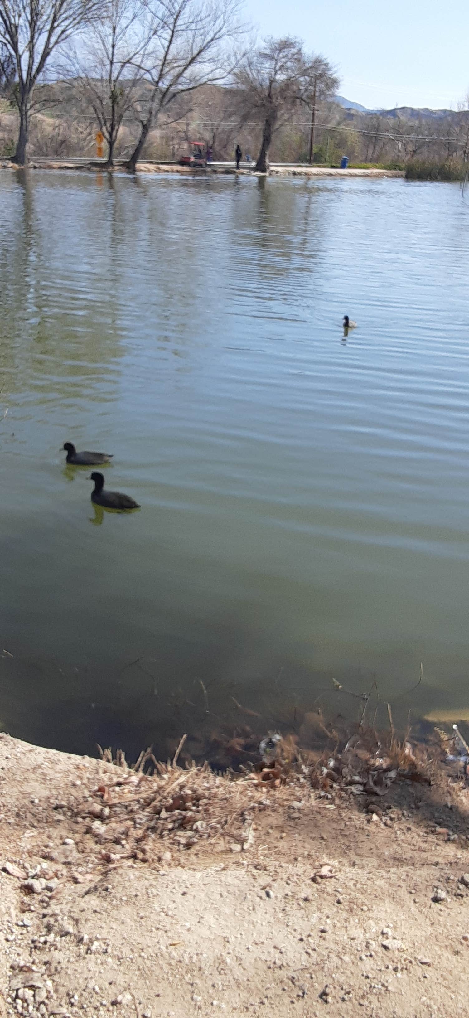 Camper-submitted photo at Fisherman's Retreat near Running Springs, CA