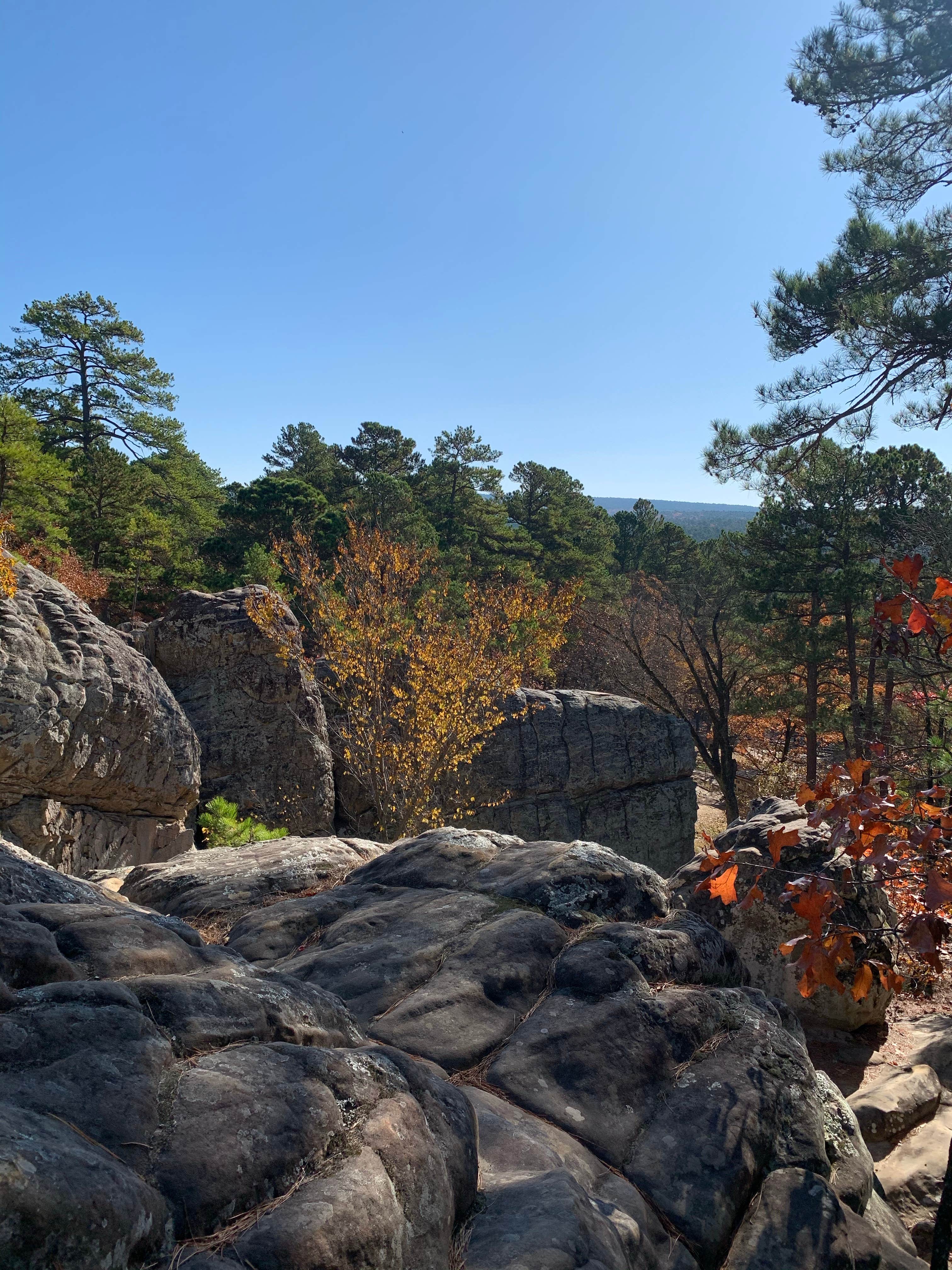 Best camping in Sardis Lake The Dyrt