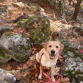 Review photo of Robbers Cave State Park — Robbers Cave State Resort Park by Lizabeth T., May 4, 2021