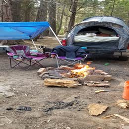 Dispersed Camp near Sequoia National Park