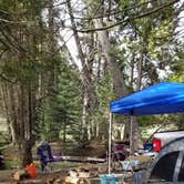 Review photo of Dispersed Camp near Sequoia National Park by Joseph M., May 4, 2021