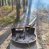 Review photo of Dunewood Campground — Indiana Dunes National Park by adrienn S., May 4, 2021