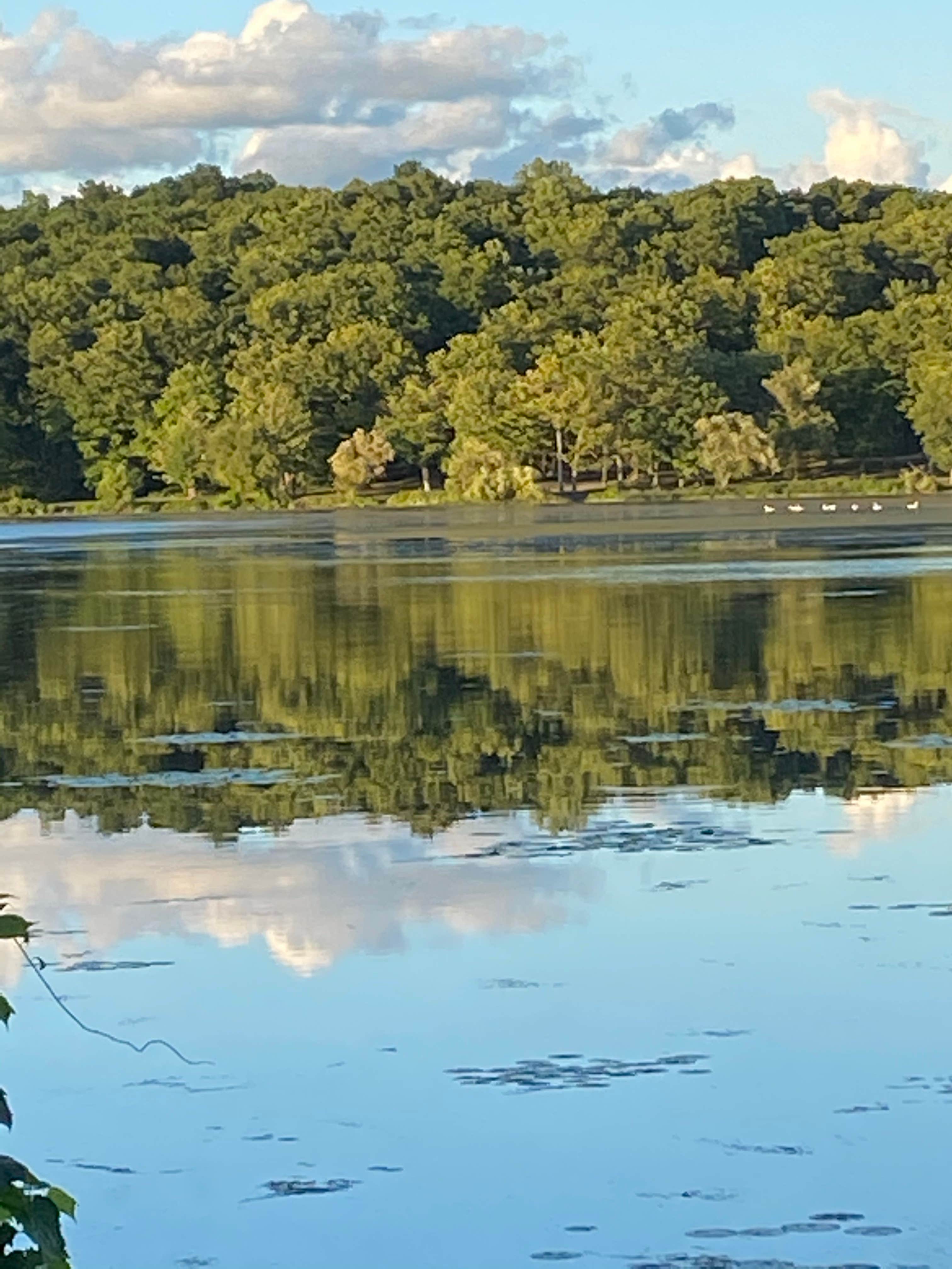 Camper submitted image from Drumlin B Camping Area — Fair Haven Beach State Park - 2