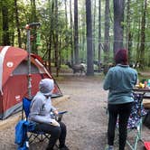 Review photo of Cataloochee Campground — Great Smoky Mountains National Park by Karen , May 4, 2021
