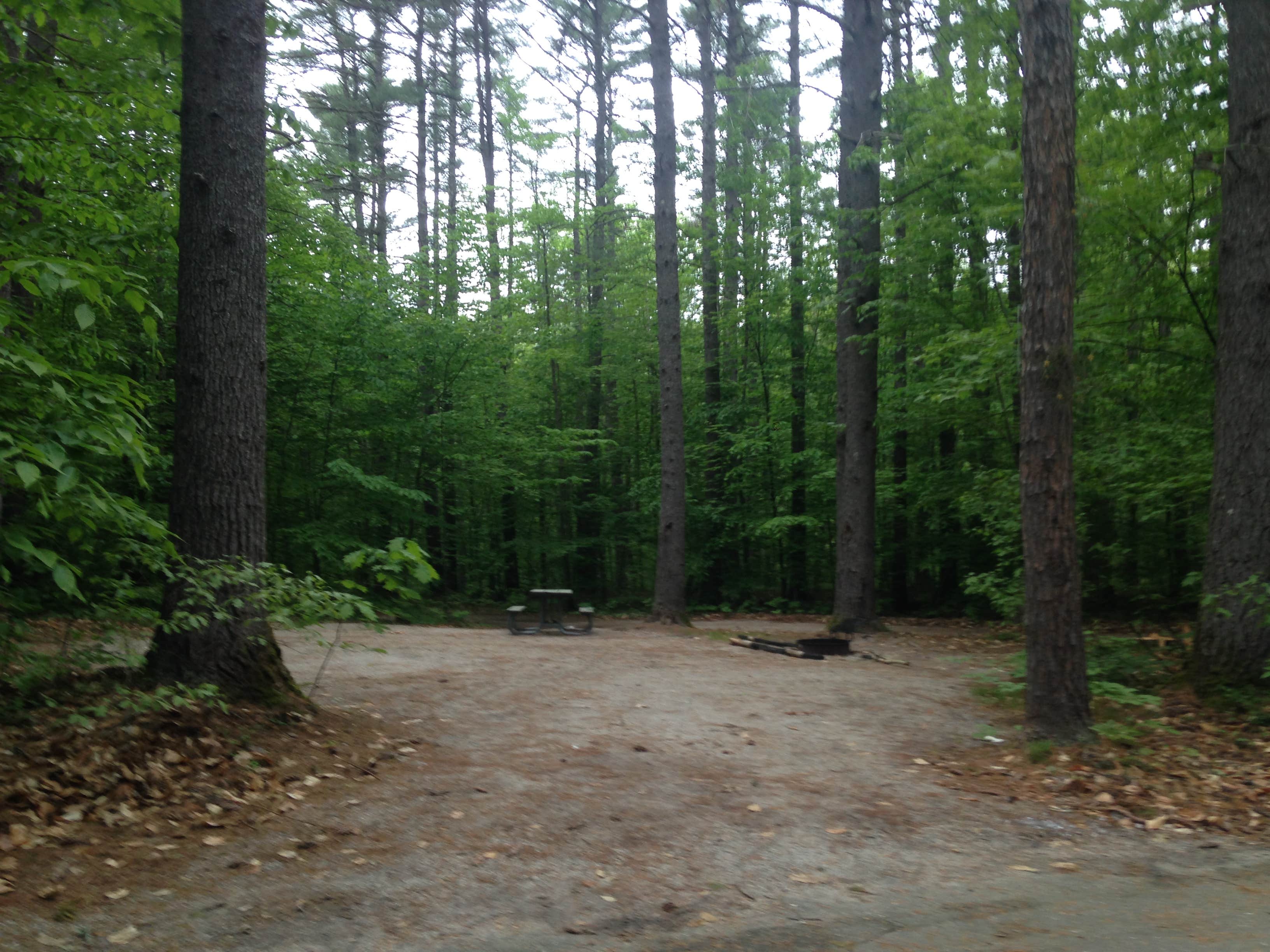 Camper submitted image from White Lake State Park Campground - 4