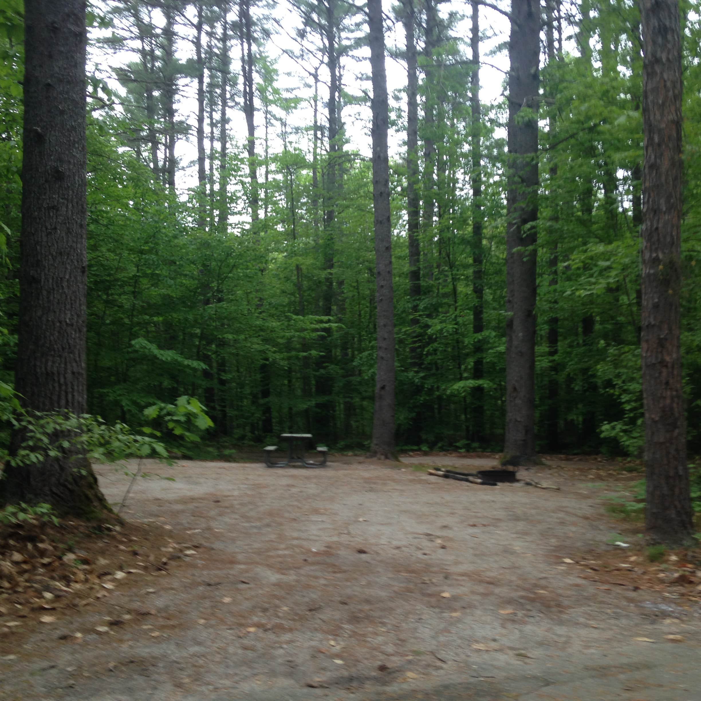 White Lake State Park Camping The Dyrt