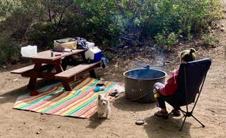 James G.'s photo of camping with pets at Sycamore Canyon Campground — Point Mugu State Park near Oxnard, CA