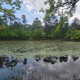 Review photo of Robbers Cave State Park — Robbers Cave State Resort Park by Brandi H., May 4, 2021