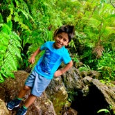 Review photo of El Yunque National Forest Camp Sites by Johnny A., May 4, 2021