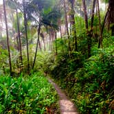 Review photo of El Yunque National Forest Camp Sites by Johnny A., May 4, 2021