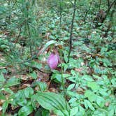 Review photo of White Lake State Park Campground by Angela T., June 1, 2018