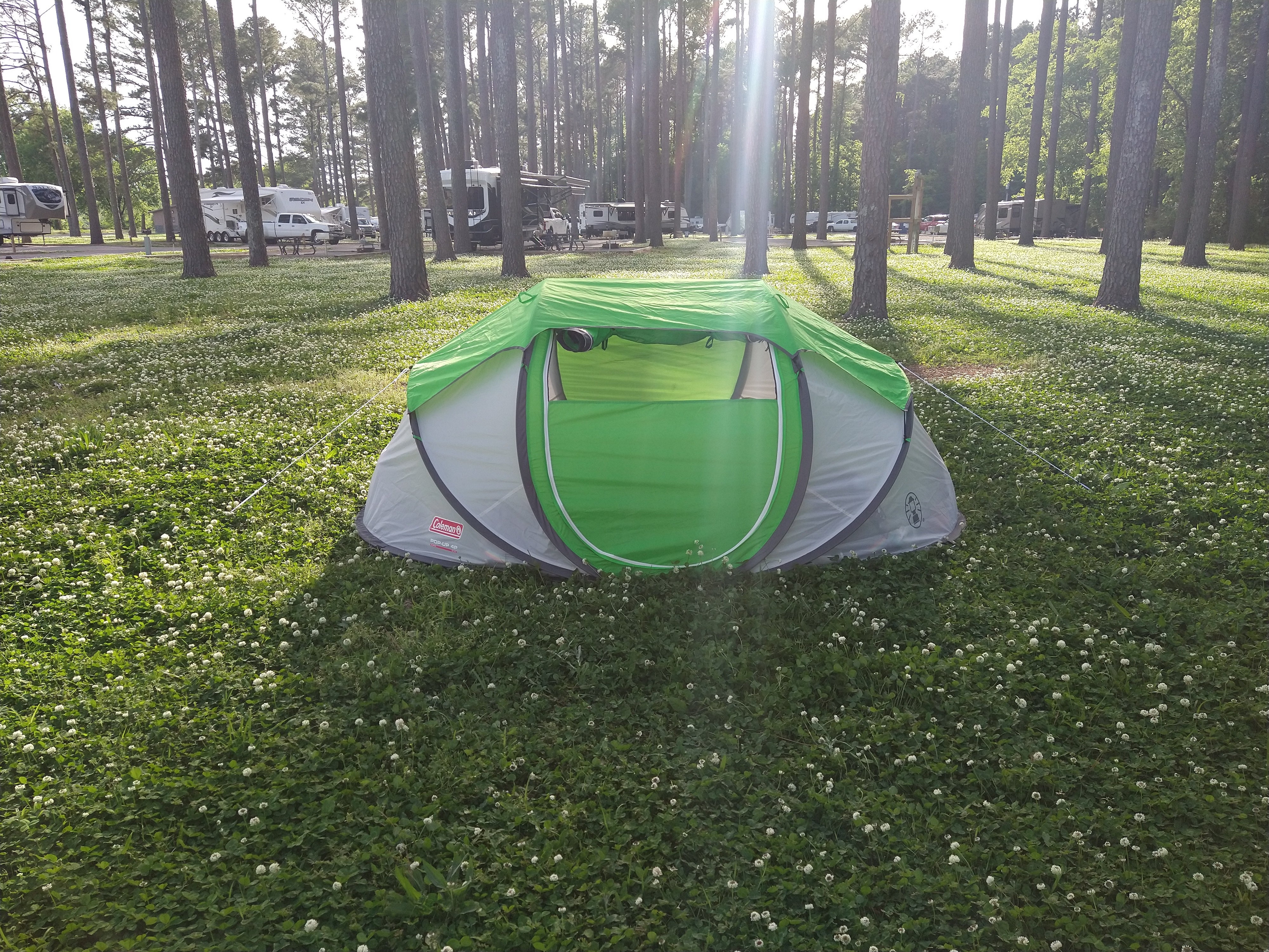 Camper submitted image from Pickwick Dam Campground — Tennessee Valley Authority (TVA) - 1