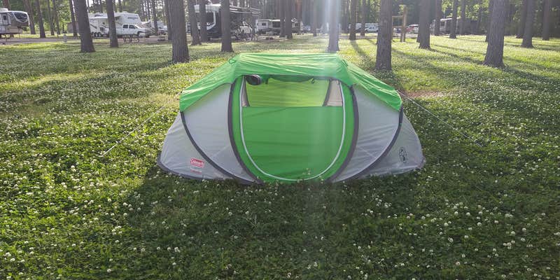 Camper submitted image from Pickwick Dam Campground — Tennessee Valley Authority (TVA)