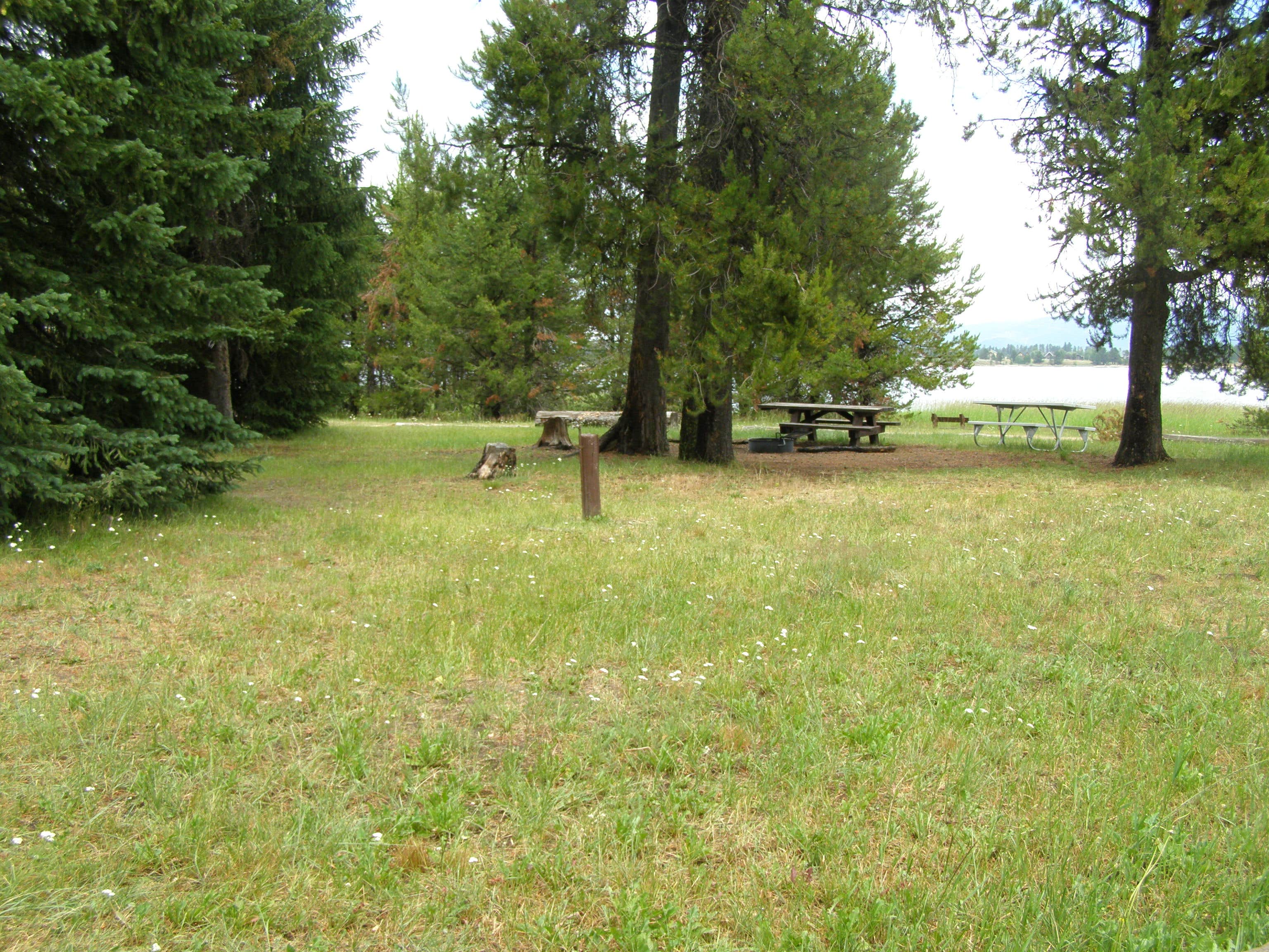 Camper submitted image from Lake Cascade/Curlew Campground - 1